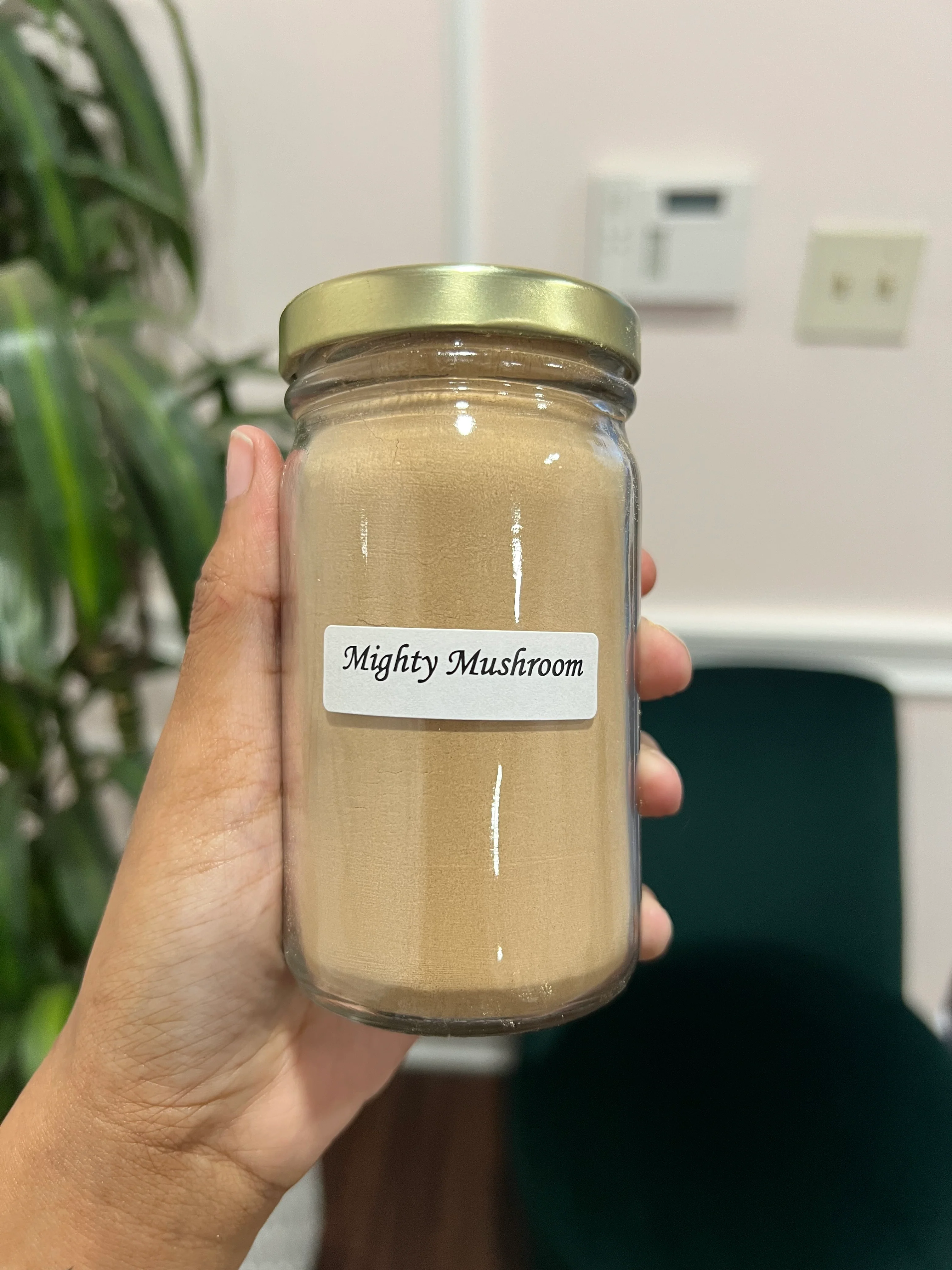 Mighty Mushroom